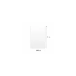 Papier cuisson silicone 2 faces 41 g 53 x 32,5 cm - par 500