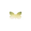 Papillon carton 1 face or 53 x 74 cm