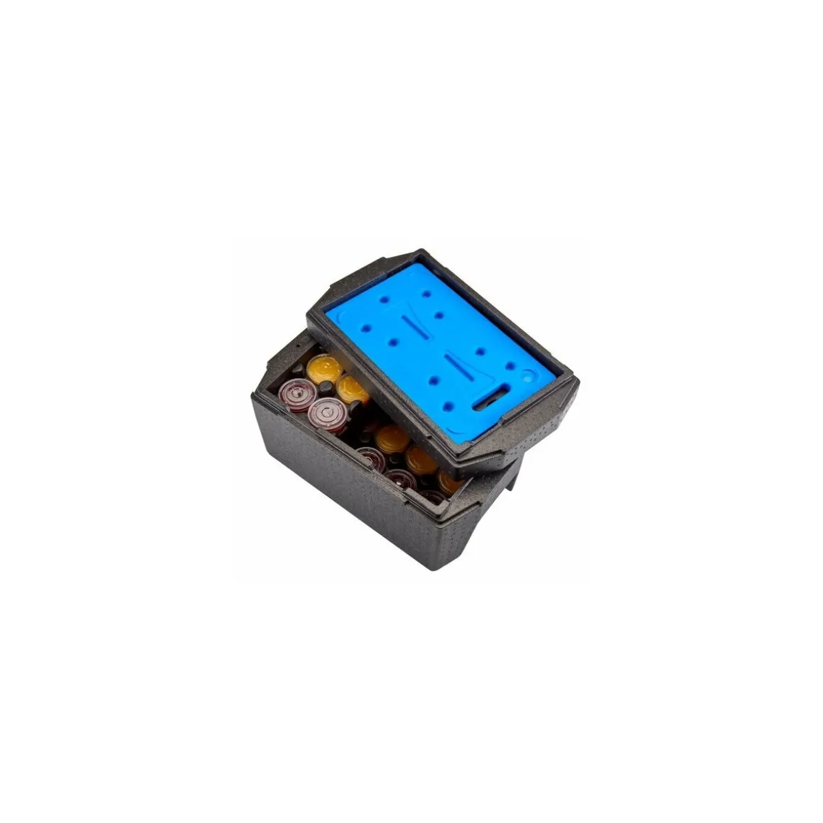 Plaque Camchiller eutectique GN 1/1 froide