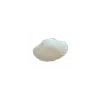 Plat coquille St Jacques céramique non émaillée 175 cl - par 6