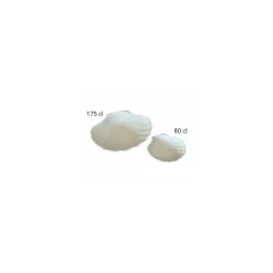 Plat coquille St Jacques céramique non émaillée 175 cl - par 6