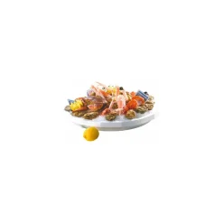 Plateau fruits de mer rond ø 50 cm - par 20