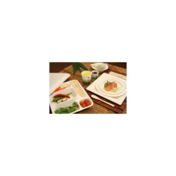 Plateau repas bagasse 5 compartiments - par 50