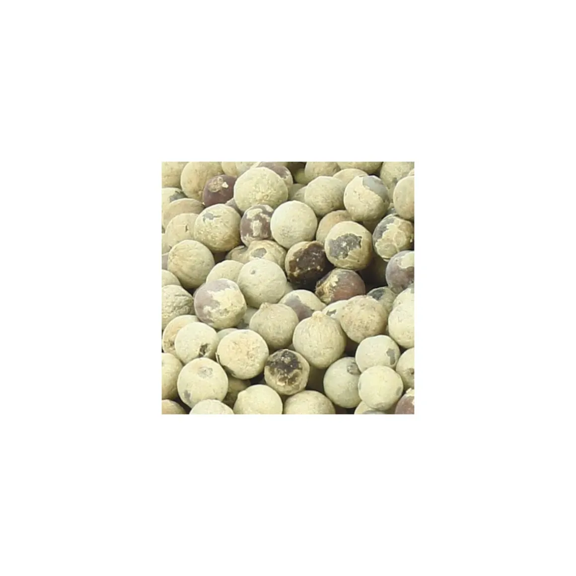 Poivre blanc entier - par 5 kg