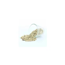 Poivre blanc entier - par 1 kg