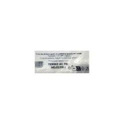 Sac bretelles plastique BD 50 microns blanc 21 x 6 + 6 x 40 cm - par 1000