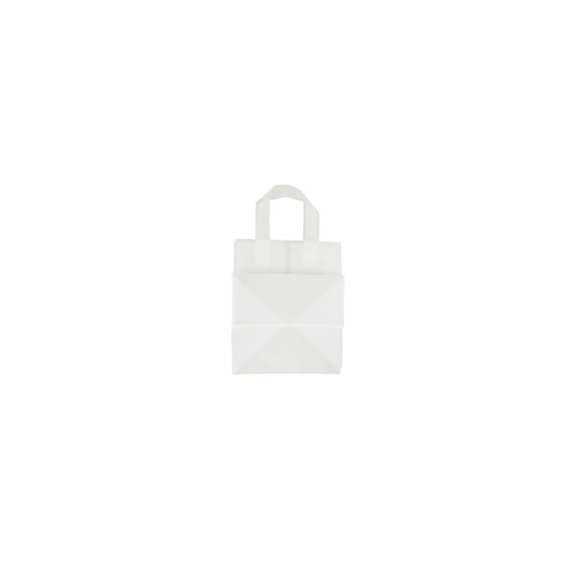 Sac cabas traiteur plastique avec renfort de fond 22 x 21 x 28 cm - par 25
