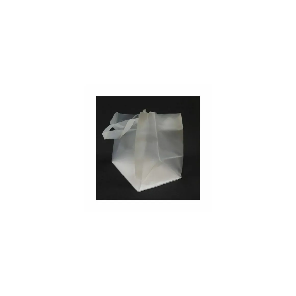 Sac cabas traiteur plastique avec renfort de fond 22 x 21 x 28 cm - par 25