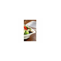 Saladier bio carré 50 cl 15,5 cm - par 300