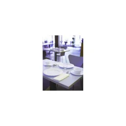 Saladier Everyday 50 cl ø 12 cm - par 6