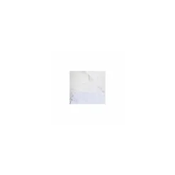Serviette ouate blanche 30 x 30 cm 2 feuilles - par 200