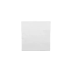 Serviette ouate blanche 25 x 25 cm - par 100