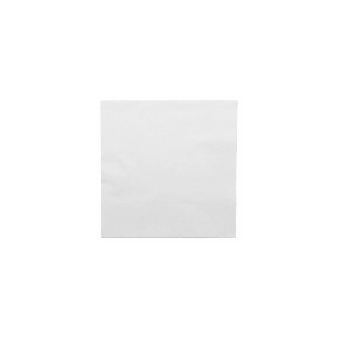 Serviette ouate blanche 25 x 25 cm - par 100