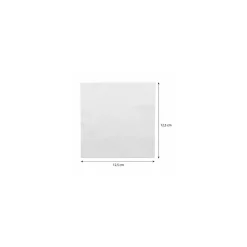 Serviette ouate blanche 25 x 25 cm - par 100