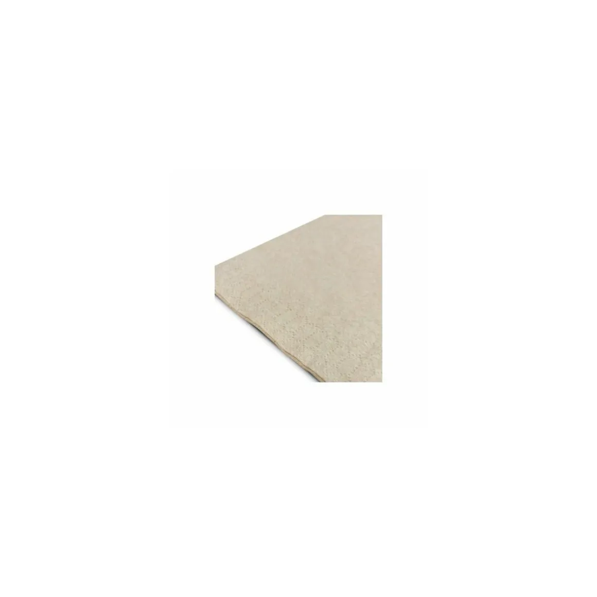 Serviette ouate kraft 30 x 30 cm 2 feuilles - par 200