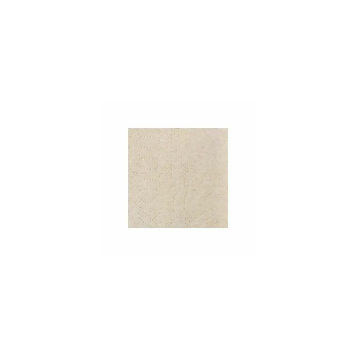 Serviette ouate kraft 30 x 30 cm 2 feuilles - par 200