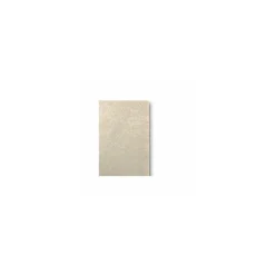 Serviette ouate kraft 30 x 30 cm 2 feuilles - par 200