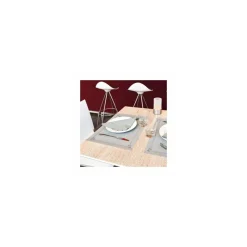Set de table papier gris 31 x 43 cm - par 500
