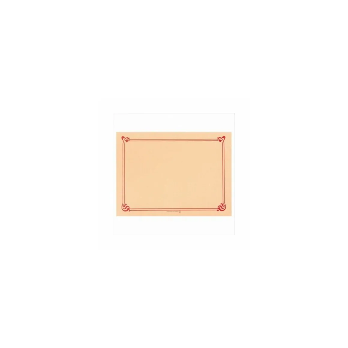 Set de table papier ivoire 31 x 43 cm - par 500