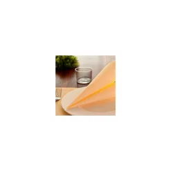 Set de table papier ivoire 31 x 43 cm - par 500