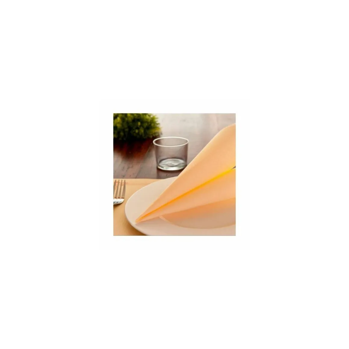 Set de table papier ivoire 31 x 43 cm - par 500