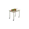 Table centrale inox avec roulettes 120 x 70 cm