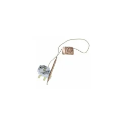 Thermostat mono vitrine 0 - 90°C pour rôtissoires