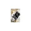 Truffes noires morceaux - par 400 g