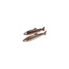 Truite factice 33 x 9 cm - par 2