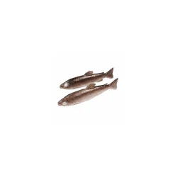 Truite factice 33 x 9 cm - par 2